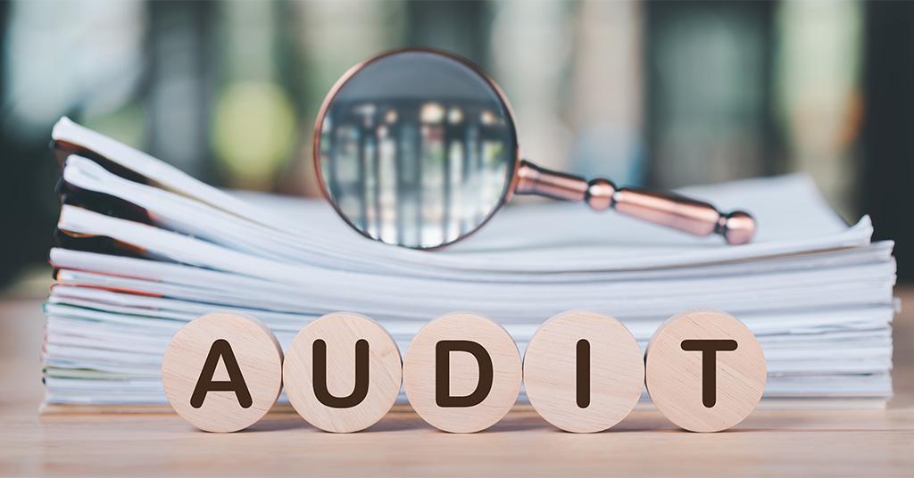FedhaTrac audit preparation support with organized financial records and reconciled accounts